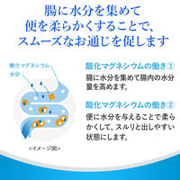 エスエス製薬 スルーラックマグネシウム 100錠 0100971 1個【第3類医薬品】