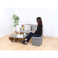 不二貿易 ディノ ボックススツール ヘリンボーン 幅380×奥行380×高さ400mm グレー 85848 1セット(2台入)（直送品）