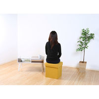 不二貿易 ディノ ボックススツール 幅380×奥行380×高さ400mm イエロー 85851 1セット(2台入)（直送品）