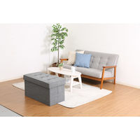 不二貿易 ディノ トランクベンチ ヘリンボーン 幅760×奥行380×高さ400mm グレー 85888 1セット(2台入)（直送品）