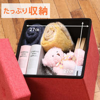 不二貿易 ディノ ボックススツール mini 幅300×奥行300×高さ300mm レッド 86850 1セット(4台入)（直送品）