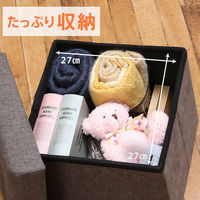 不二貿易 ディノ ボックススツール mini 幅300×奥行300×高さ300mm ブラウン 86853 1セット(4台入)（直送品）