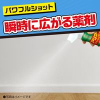 蟻 アリ 駆除 アリアース 殺虫剤 1プッシュ式 スプレー 60回分 1個 まちぶせ 退治 対策アース製薬