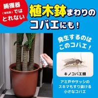 【アウトレット】コバエがいなくなるスプレー 60回用 無香料 1個 大日本除虫菊 KINCHO キンチョー