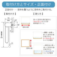 【幅1cm単位】抗ウイルスロールスクリーン幅162cm×高281~300cm tr4238-162x300-r220 1セット トーソー（直送品）