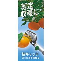 ムサシ #621 替刃2段式高枝切り鋏アンビル刃 1本（直送品）