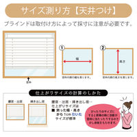 【1cm単位】TOSO プロ仕様ブラインド幅50cm×高70cm＜遮熱>ライトブラウン ctb849-50x70r48 1セット（直送品）