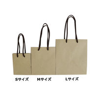 【紙袋】クラフトバッグ 真四角型 Lサイズ 1パック（10枚入 ）ハピラ