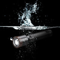 LED LENSER レッドレンザー P6R Core 502179 1個