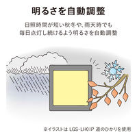 タカショー ひかりノベーション SC 花のひかり LGS-LH02P 1箱(2個入)（直送品）