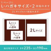 セキセイ スペア台紙<ライトフリー>M (台紙5枚入り) XP-55F-00 1セット(5冊)