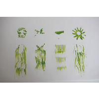 サンワ スポンジブラシ4種セット 41-510 1セット