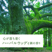 芳香剤 部屋用 スッキーリ コルク+スティック ピュリチャー 大樹の下で 本体 1個 リードディフューザー 室内 玄関 アース製薬