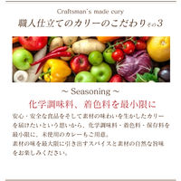 きのポックル きのポックルおすすめカレー4種セット ST31002-2 1セット(8袋：4種×各2袋入)（直送品）