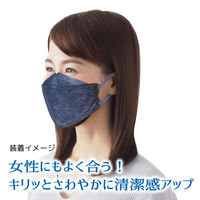 3D立体型マスク 標準 ネイビー 5枚入 10袋セット DN05-10-AS 1セット（10袋） エスパック（直送品）