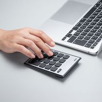 サンワサプライ Mac用Bluetoothテンキー NT-MBT23BK 1個