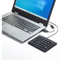 サンワサプライ 防水防塵テンキー NT-BS1BK 1個