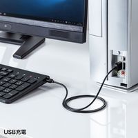 サンワサプライ ワイヤレスキーボード 無線 パンタグラフ Type-C接続 コンパクト ブラック SKB-WL31CBK 1個（直送品）