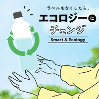 【炭酸水】　ICY SPARK from カナダドライ 430ml ラベルレス 1セット（48本）
