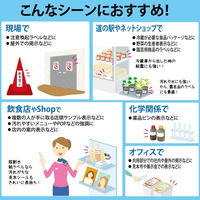 コクヨ カラーLBP用 超耐水紙ラベル A4 15枚入 2 LBP-WS6924 1袋(15シート入)