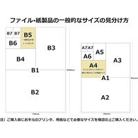 コクヨ ソフトカードケース 塩ビ製 軟質タイプ B2 クケ-52 1セット(2枚)