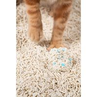 PIDAN 猫砂 おからミックス チェック顆粒入 2.4kg 1セット（1袋×3）