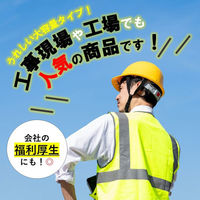 スポーツドリンクパウダーレモネード味10袋 1セット（1箱×10） ファイン