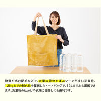 【防災】ドリーム　プロイデア　SONAENO 多機能クッションカバー グレージュ 0070-4194-00 1個