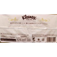 ペーパータオル クリネックス ハンドタオル デ グランデ 100枚入 1セット(1パック×16) 日本製紙クレシア