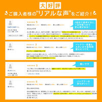 ベスト・アンサー aut-061-bkh-m 空調作業服 半袖 ブラックカーキ Mサイズフルセット 1セット（直送品）