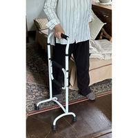 フジホーム リハステッキサイド 伸縮 WB5269 1本 3WAY 立ち上がり 補助リハビリ 運動フレイル対策