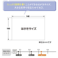 ササガワ 手書きPOP用カード はがきサイズ クラフト 16-1755 1冊(10枚)