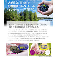 八幡物産 やわた 北の国から届いた ブルーベリー 1ヶ月分 30粒入 1袋(30粒入)（直送品）