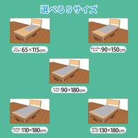 iiもの本舗 洗える除湿シート 備長炭入 ダブルサイズ 130×180cm グレー 4589596694252 1枚（直送品）