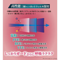 iiもの本舗 3D立体マスク ダイヤモンド型 ブラック 個包装 30枚入 4589596693767 1箱(30枚入)（直送品）