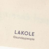 （世界の名作）巾着ポーチ（L） 真珠の耳飾り LAKOLE/ラコレ