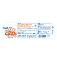 洋服ダンス用かおりパラゾール 金木犀の香り 詰替 1パック（3個入） 白元アース