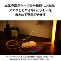 モバイルバッテリー 大容量 20000mAh USB-C×2 最大 20W しろちゃん EC-C24WF エレコム 1個（直送品）