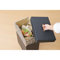 SANKA パッと組み立てフタ付きゴミ箱 40L 2台入 ブラック DBFG-40BK 1ケース(10セット入)（直送品）