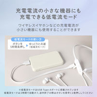 オウルテック Type-C 入出力対応 5000mAh 小型軽量モバイルバッテリー OWL-LPB5012-IB 1個
