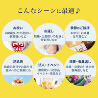 ロワール カタログギフト カード型 北海道グルメ直送便カード 50000ポイント BK PH50000BK 1個（直送品）