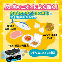 ノンスメル ぱくぱく炭 冷蔵庫用 脱臭剤 置き型 1年間脱臭 冷蔵食品のニオイに 1セット（1個×5）白元アース