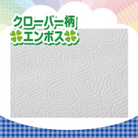 エリエール キッチンペーパー キッチンタオル 1ケース（120カット×4ロール×12パック）大王製紙