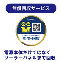 BigBlue Tech ETFEソーラー充電器 出力30W 防塵防水IP65 USB-A/Cポート SP30 1台（直送品）