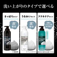 ギャツビー マイクロスパークリング泡洗顔 アクネケア 医薬部外品 200g マンダム