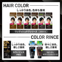 LUCIDO（ルシード） カラーリンスPRO パーフェクトブラック 120g マンダム