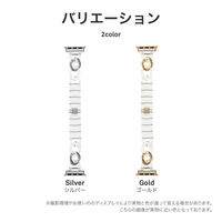 Apple Watch 38/40/41/42mm バンド 「CORVIN」 クリアチェーンバンド シルバー（直送品）