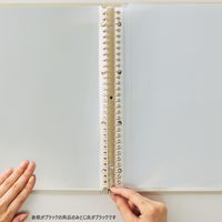 リヒトラブ Roomy クリヤーブック<ポケット交換式> A4 ブラック N290-24 1冊