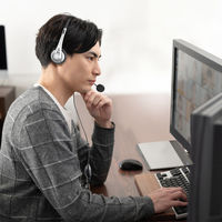 サンワサプライ USBTypeCヘッドセット MM-HSTC03SV 1個