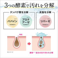 パエンナ ハトムギと酵素配合洗顔料 inクレイ＆炭＆ビタミン 200g 1個 大容量 イヴ 限定